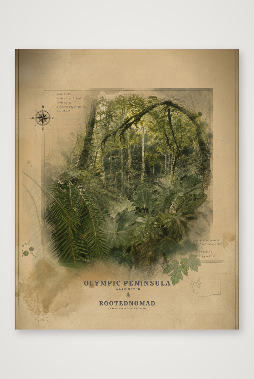 Olympic Peninsula Poster (32 x 40 in) — 40×50cm, 16×20" Print only