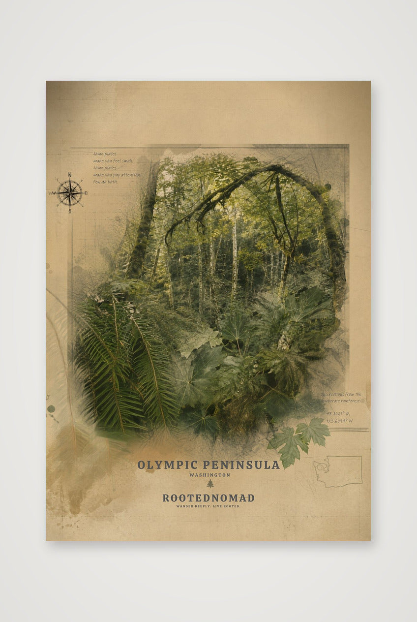 Olympic Peninsula Poster (32 x 40 in) — A4 (21×30cm, 8×12") Print only