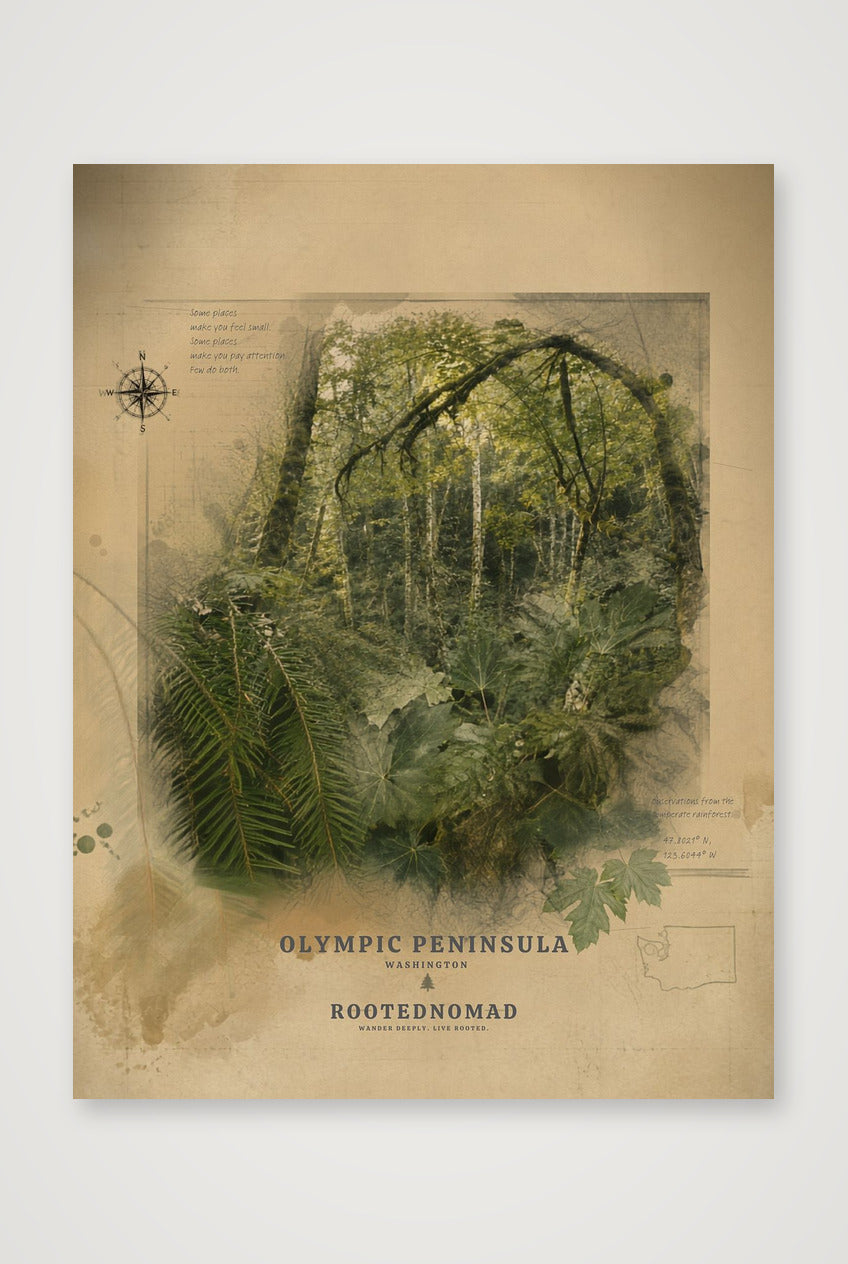 Olympic Peninsula Poster (32 x 40 in) — 60×80cm, 24×31" Print only