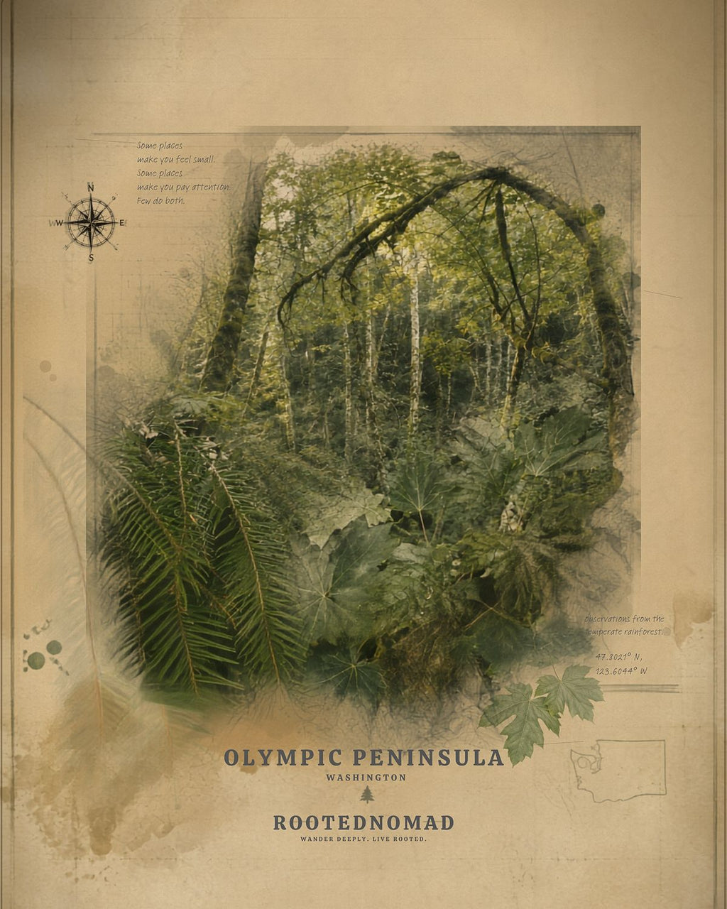 Olympic Peninsula Poster (32 x 40 in)