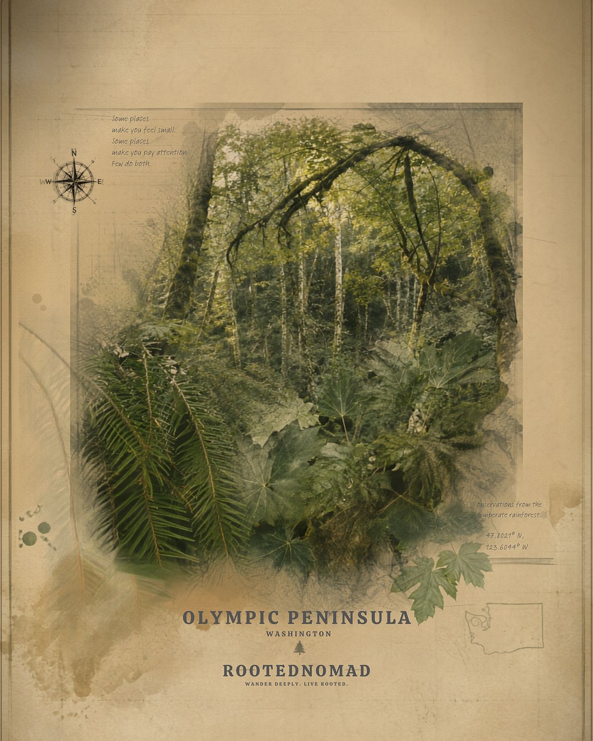 Olympic Peninsula Poster (32 x 40 in)