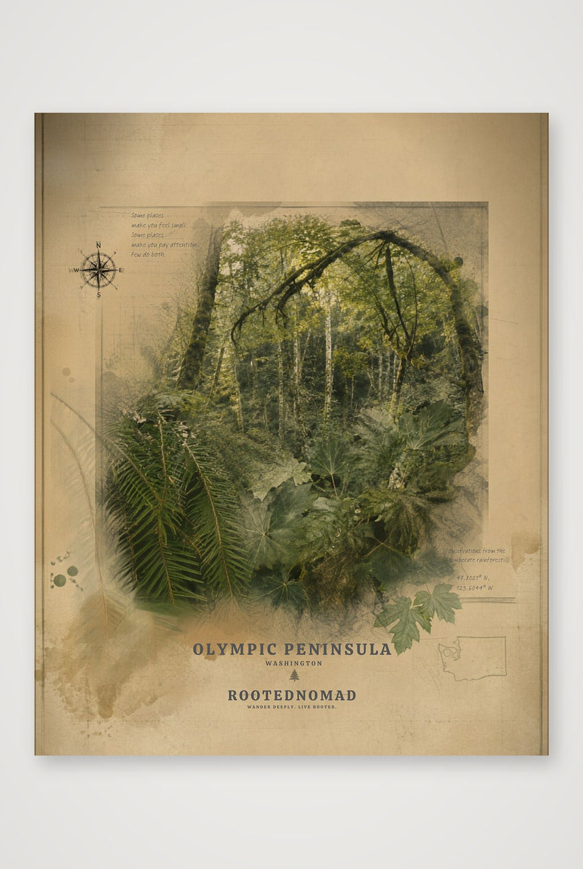 Olympic Peninsula Poster (32 x 40 in) — 28×35cm, 11×14" Print only