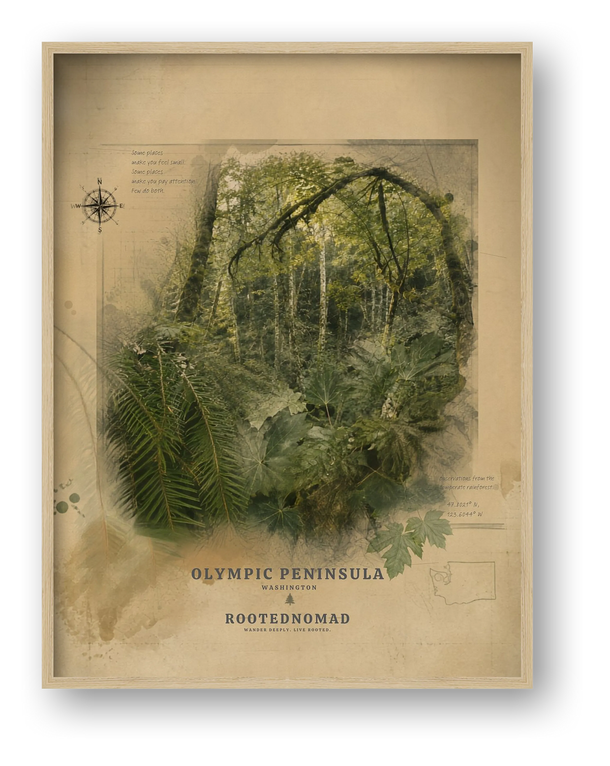 Olympic Peninsula Poster (32 x 40 in) — framed